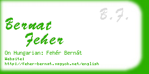bernat feher business card